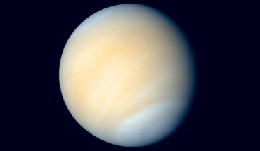 Venus in real colors, processed from Mariner 10 images. Image credit: Mattias Malmer / NASA.
