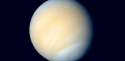 Venus in real colors, processed from Mariner 10 images. Image credit: Mattias Malmer / NASA.