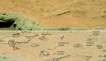 A rock bed at the Gillespie Lake outcrop on Mars. Scale bar - 15 cm. Image credit: NASA.