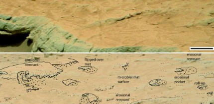 A rock bed at the Gillespie Lake outcrop on Mars. Scale bar - 15 cm. Image credit: NASA.