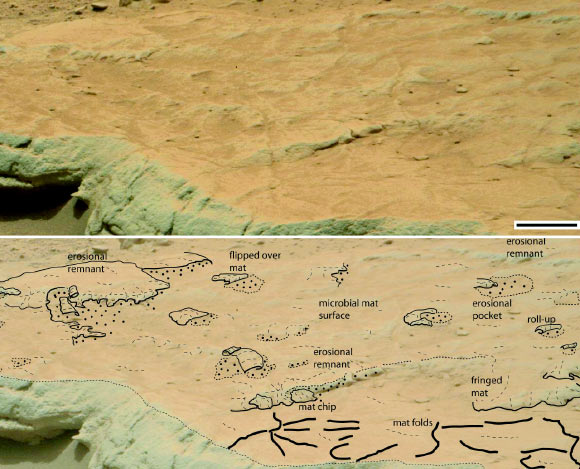 A rock bed at the Gillespie Lake outcrop on Mars. Scale bar - 15 cm. Image credit: NASA.
