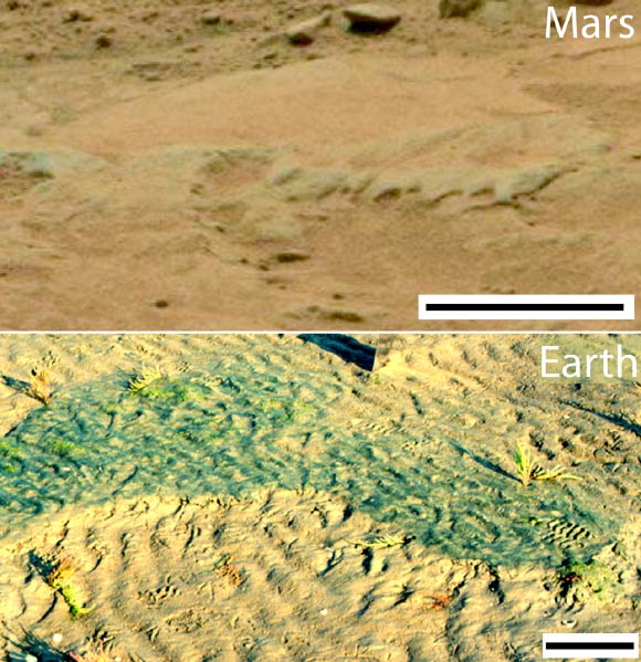 Top: a rock bed at the Gillespie Lake outcrop on Mars. Bottom: close-up of an erosional remnant of a modern sediment surface, Mellum Island, Germany. Scale bars - 20 cm. Credit: NASA / Nora Noffke.