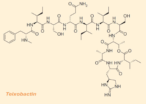 Structure of teixobactin. Image credit: Losee L. Ling et al.