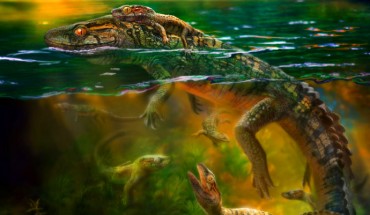Living scene of the adult Philydrosaurus and its babies. Image credit: Chuang Zhao.