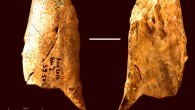 The 55,000-year-old bone tool found in France. Image credit: Maurice Hardy et al.