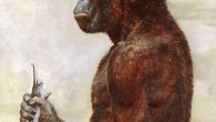 Australopithecus africanus. Image credit: J.M Salas / CC BY-SA 3.0.