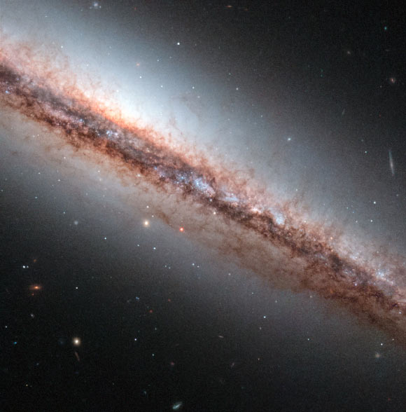 This image shows the edge-on spiral galaxy NGC 4217. Image credit: ESA / Hubble / NASA / R. Schoofs.
