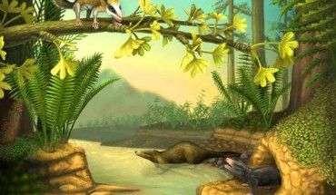 This is an illustration of Agilodocodon scansorius (top left) and Docofossor brachydactylus (bottom right). Image credit: April I. Neander / University of Chicago.