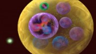An electron (green) hits a proton in a nucleus, creating a pion (green-skinned particle) and transforming the proton into a neutron. Image credit: Joanna Griffin / Jefferson Lab.