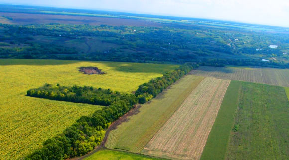 Proto-Indo-European was spoken around 4,500 BC in the Pontic-Caspian steppe – the steppeland stretching from Moldova and western Ukraine across the Southern Federal District and the Volga Federal District of Russia to western Kazakhstan. This image shows a 4,000 BC site of the Trypillian culture near modern-day Nebelivka, Kirovograd region, Ukraine. Image credit: Nataliia Burdo / Mykhailo Videiko.