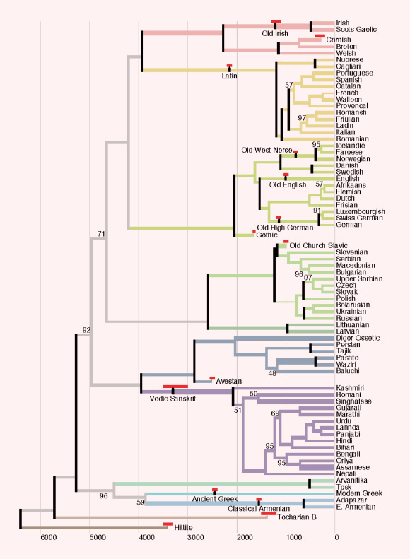 Phylogenetic tree of Indo-European languages. Image credit: Will Chang et al.