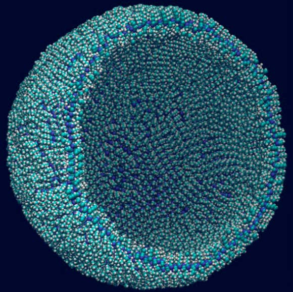 Azotosome vesicle, the size of a small virus particle. Image credit: James Stevenson et al.