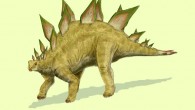 Stegosaurus stenops. Image credit: Nobu Tamura / CC BY-SA 3.0.