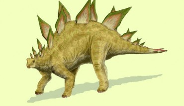 Stegosaurus stenops. Image credit: Nobu Tamura / CC BY-SA 3.0.