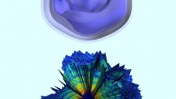 Top: 3D reconstruction of a Mimivirus virion; the blue regions represent the areas of highest density. Bottom: computerized rendering shows a cutaway view of a collection of about 200 X-ray patterns; the images were combined to produce a 3D rendering of the Mimivirus particle. Image credit: Uppsala University.