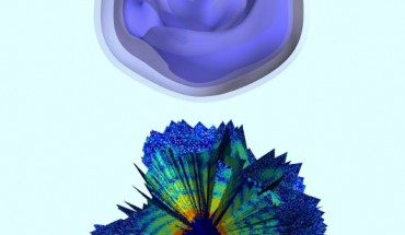 Top: 3D reconstruction of a Mimivirus virion; the blue regions represent the areas of highest density. Bottom: computerized rendering shows a cutaway view of a collection of about 200 X-ray patterns; the images were combined to produce a 3D rendering of the Mimivirus particle. Image credit: Uppsala University.