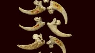 130,000-year-old Neanderthal jewelry. Image credit: Luka Mjeda.