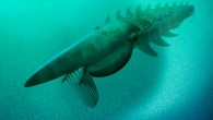 Reconstruction of Aegirocassis benmoulae. Image credit: Marianne Collins / ArtofFact.