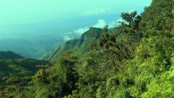 Mountain forest in Sri Lanka. Image credit: Faslan / CC BY-SA 3.0.