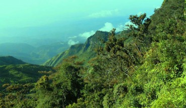 Mountain forest in Sri Lanka. Image credit: Faslan / CC BY-SA 3.0.
