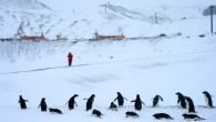 Scientists say that planetary warming will increase snowfall in Antarctica. Image credit: Eli Duke / CC BY-SA 2.0.