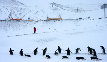 Scientists say that planetary warming will increase snowfall in Antarctica. Image credit: Eli Duke / CC BY-SA 2.0.