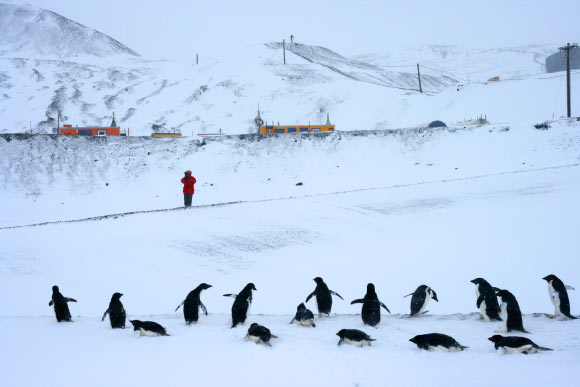 Scientists say that planetary warming will increase snowfall in Antarctica. Image credit: Eli Duke / CC BY-SA 2.0.