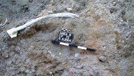 Straight-tusk elephant rib with cut marks in association with flint tools, including a handaxe. Image credit: Solodenko N et al.