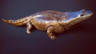Reconstruction of Metoposaurus algarvensis. Image credit: Marc Boulay / Cossima Productions.