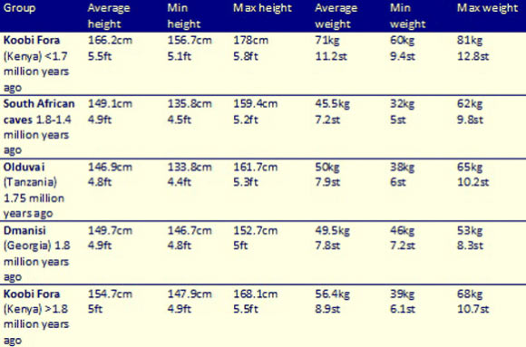Estimated heights and weights of early Homo during Pleistocene. Image credit: University of Cambridge.