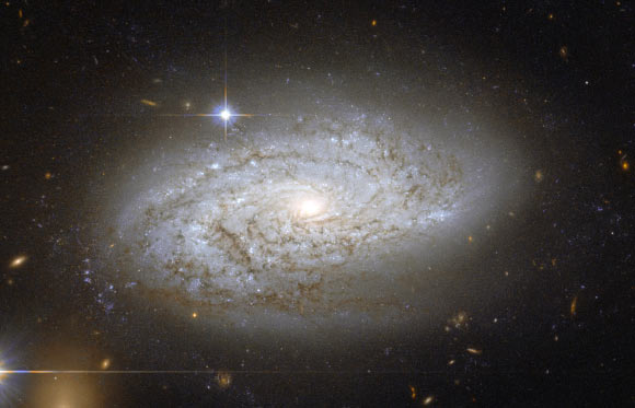 This is a Hubble Space Telescope photo of NGC 3021. Image credit: NASA / ESA / A. Riess, STScI.