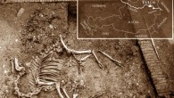 In situ view of the 17th century camel; inserted map shows the geographical position of the town Tulln in Austria with a triangle. Image credit: Galik A et al.