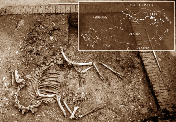 In situ view of the 17th century camel; inserted map shows the geographical position of the town Tulln in Austria with a triangle. Image credit: Galik A et al.
