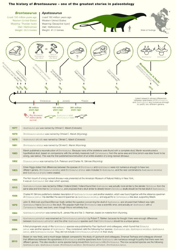 History of Brontosaurus – one of the greatest stories in paleontology. Image credit: PeerJ.
