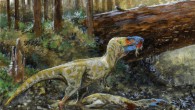 Artist’s reconstruction of one Daspletosaurus feeding on another. Image credit: Tuomas Koivurinne.