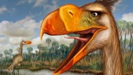 Llallawavis scagliai. Image credit: H. Santiago Druetta.