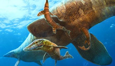 Artist’s interpretation of the study’s principal conclusions, illustrating the mosasaur Clidastes liodontus giving live birth in an open ocean approximately 85 million years ago, beneath the shadow of the toothed stem bird Ichthyornis. Image credit: Julius T. Csotonyi.
