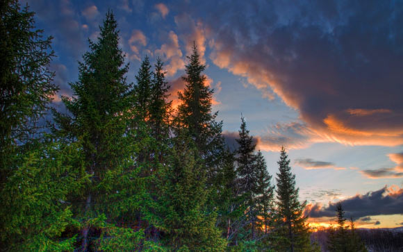 According to scientists at the University of Manchester, UK, the color of light has a major impact on how mammalian body clock measures the time of day. Image credit: Axel Kristinsson / CC BY 2.0.