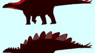 Silhouettes of male and female Stegosaurus mjosi. Image credit: Evan Saitta.