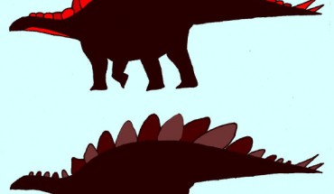 Silhouettes of male and female Stegosaurus mjosi. Image credit: Evan Saitta.