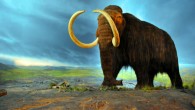 This is an artist’s rendition of a woolly mammoth (Mammuthus primigenius). Image credit: Flying Puffin / CC BY-SA 2.0.