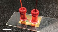 This image shows a nano-lasing device consisting of gold nanoparticle arrays and a microfluidic channel fabricated by sandwiching a 250 μm-thick silicone sheet with a 5-mm-wide and 15-mm-long slit in the center between the gold nanoparticle substrate and a glass microscope slide. Image credit: Ankun Yang et al.