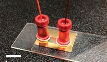 This image shows a nano-lasing device consisting of gold nanoparticle arrays and a microfluidic channel fabricated by sandwiching a 250 μm-thick silicone sheet with a 5-mm-wide and 15-mm-long slit in the center between the gold nanoparticle substrate and a glass microscope slide. Image credit: Ankun Yang et al.