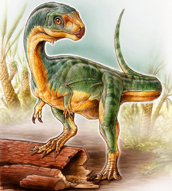 Chilesaurus diegosuarezi was up to 3 meters long; the different parts of its body were adapted to a particular diet and way of life, which was similar to other groups of dinosaurs. Image credit: Gabriel Lio.