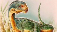 Chilesaurus diegosuarezi was up to 3 meters long; the different parts of its body were adapted to a particular diet and way of life, which was similar to other groups of dinosaurs. Image credit: Gabriel Lio.