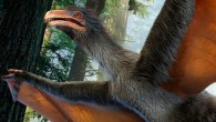 Artist’s concept of Yi qi. Image credit: Dinostar.