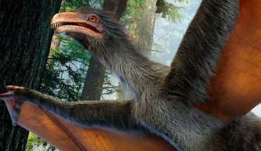 Artist’s concept of Yi qi. Image credit: Dinostar.