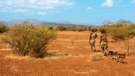 Two Hadza men return from a hunt. The Hadza people are one of the last hunter-gatherer tribes left in Africa. Image credit: Andreas Lederer / CC BY 2.0.