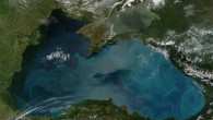 Phytoplankton bloom in the Black Sea. Image credit: NASA / GSFC / Jeff Schmaltz / MODIS Land Rapid Response Team.