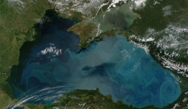 Phytoplankton bloom in the Black Sea. Image credit: NASA / GSFC / Jeff Schmaltz / MODIS Land Rapid Response Team.